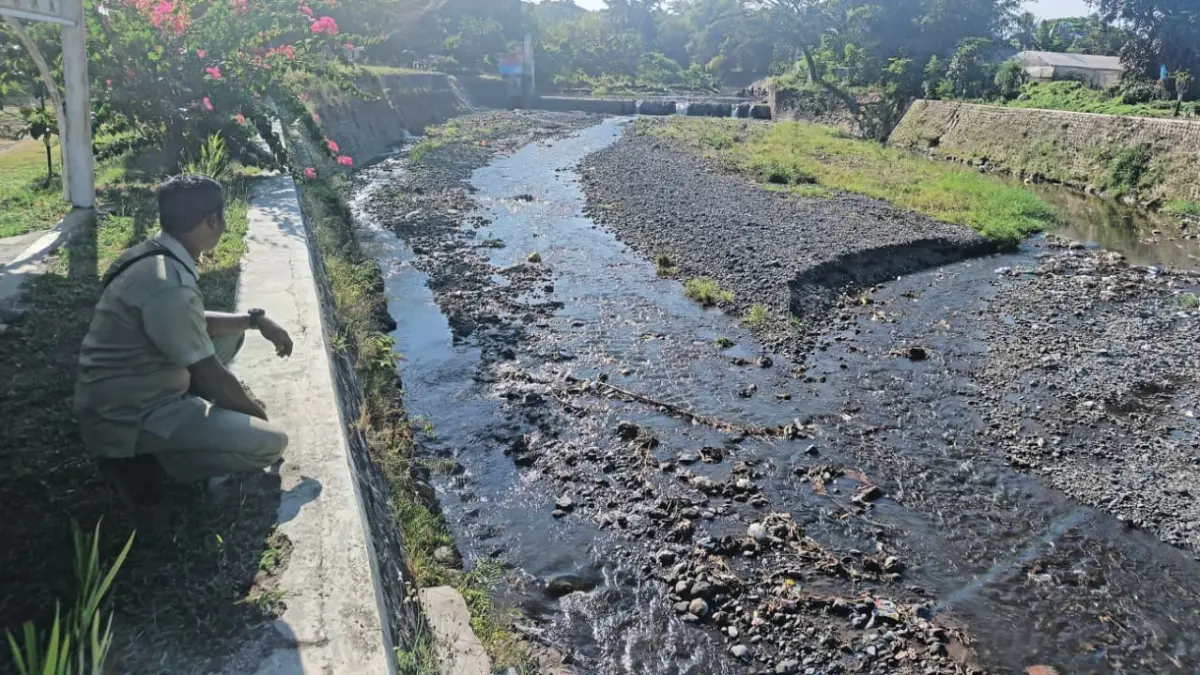 Petugas memantau debit air di Dam Garit, Desa Alasmang, Kecamatan Singojuruh. Debit untuk irigasi turun saat musim kemarau. (Zamrozi Wahyu/Radar Banyuwangi)