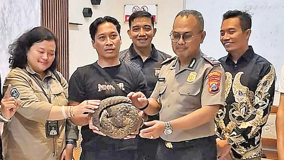Kapolsek Genteng Kompol Khoirul Anwar menunjukkan trenggiling yang berhasil diamakan. Hewan tersebut lantas diserahkan kepada Kepala Seksi Konservasi Sumber Daya Alam (KSDA) Wilayah V Banyuwangi Noviyanti Utami. (Foto: Polsek Genteng)
