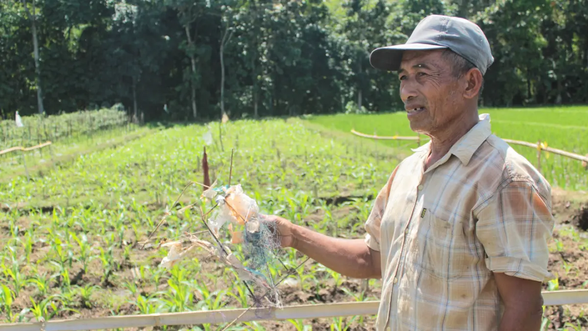 BIKIN GERAM: Salah satu petani di Desa Kembiritan, Kecamatan Genteng, menunjukkan sisa senar layangan di sawah miliknya, Jumat (28/8). (Salis Ali/Radar Banyuwangi)
