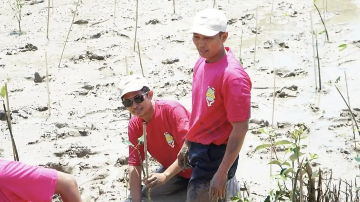 Perwira Pertamina Patra Niaga Bitumen Plant Gresik bersama pemerintah desa dan kelompok nelayan melakukan penanaman mangrove di Kawasan Ekosistem Esensial Ujungpangkah, Gresik. Sebanyak 1.000 bibit ditanam sebagai bagian dari program konservasi pesisir berkelanjutan. (Pertamina)