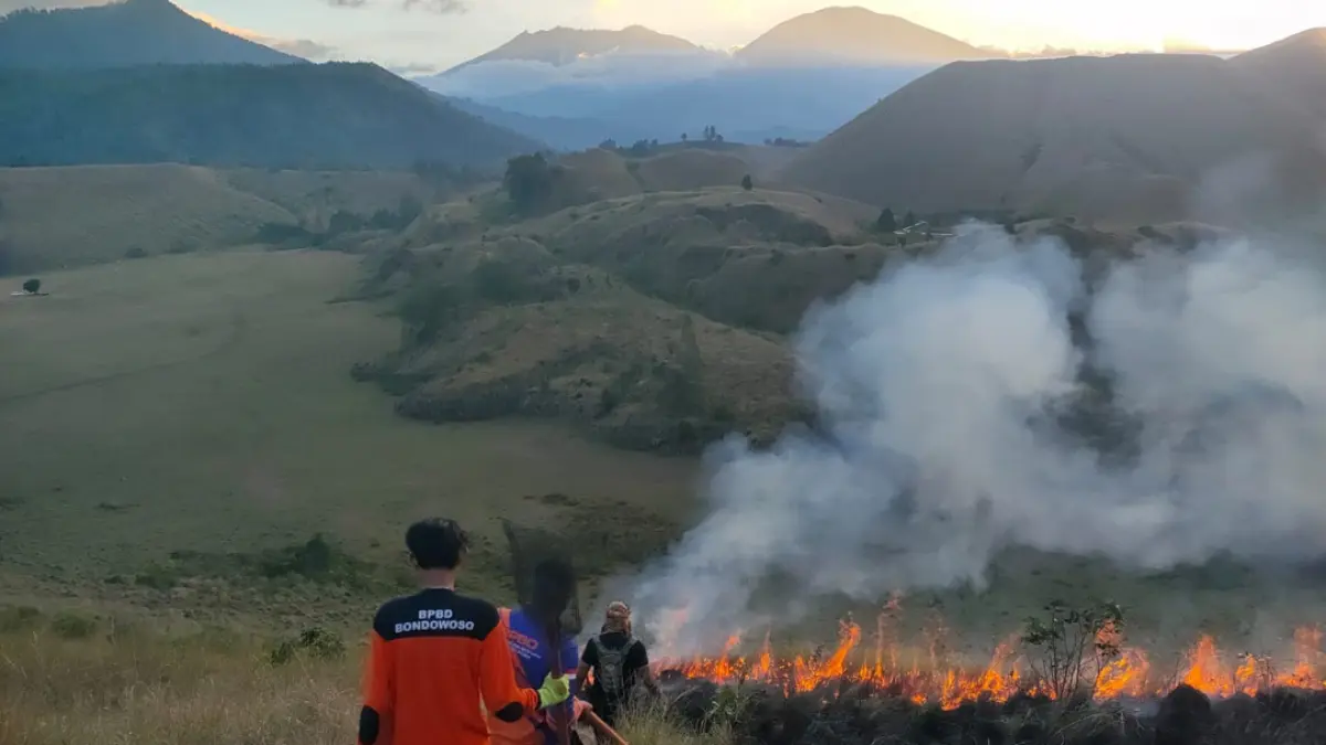 Petugas BPBD Bondowoso memadamkan kobaran api yang membakar kawasan Kawah Wurung. Petugas terus berusaha agar api tidak menjalar di area Paltuding dan Kawah Ijen. (Foto: BPPD Bondowoso)