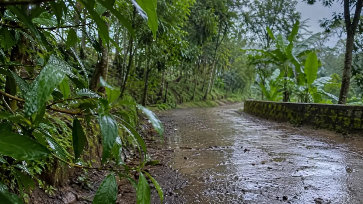 Tanah yang sebelumnya kering dapat mengeluarkan aroma khas ketika hujan turun. Aroma tersebut dikenal sebagai petrichor dan menjadi salah satu ciri yang mudah dikenali setelah hujan. (ChatGPT)