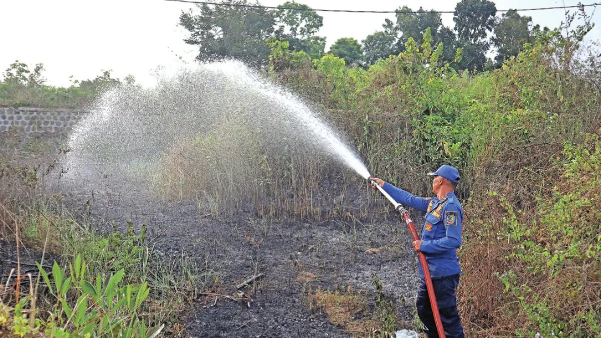 Petugas Damkarmat Sektor Genteng memadamkan api yang membakar ilalang kering di Dusun Resomulyo, Desa Gentengwetan, Kecamatan Genteng, sore Senin (31/8). (Salis Ali/Radar Banyuwangi)