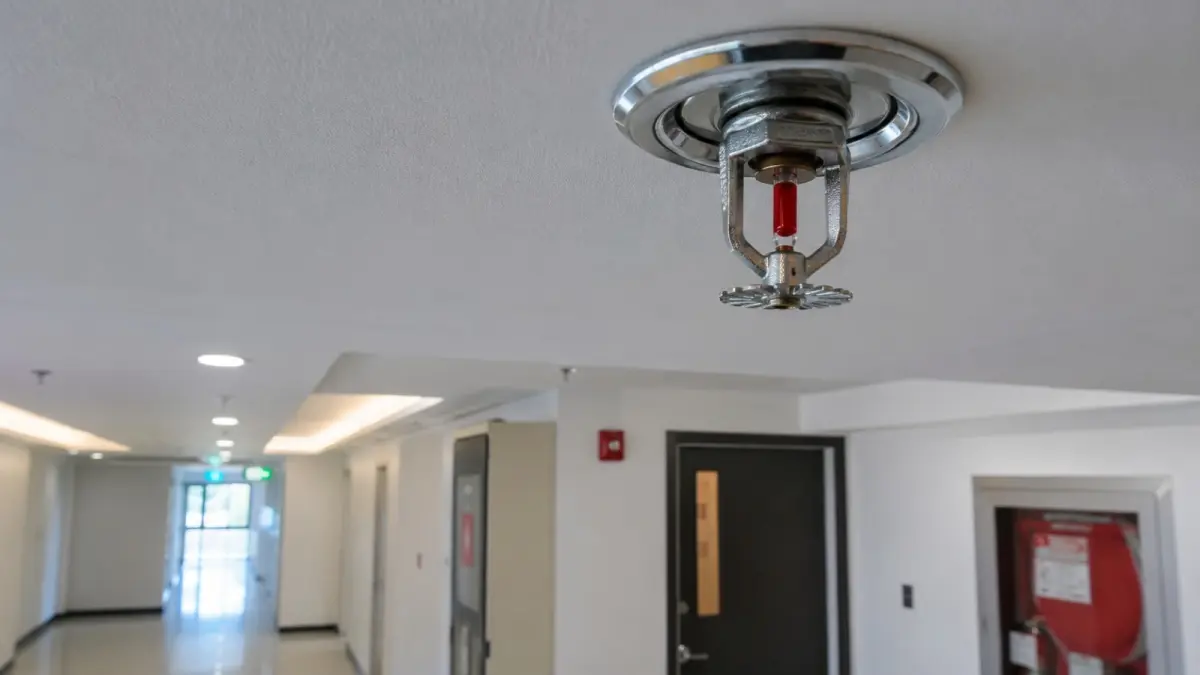 Kepala fire sprinkler terpasang di plafon sebagai bagian dari sistem proteksi kebakaran otomatis yang merespons panas di sekitar titik kebakaran. (ChatGPT)