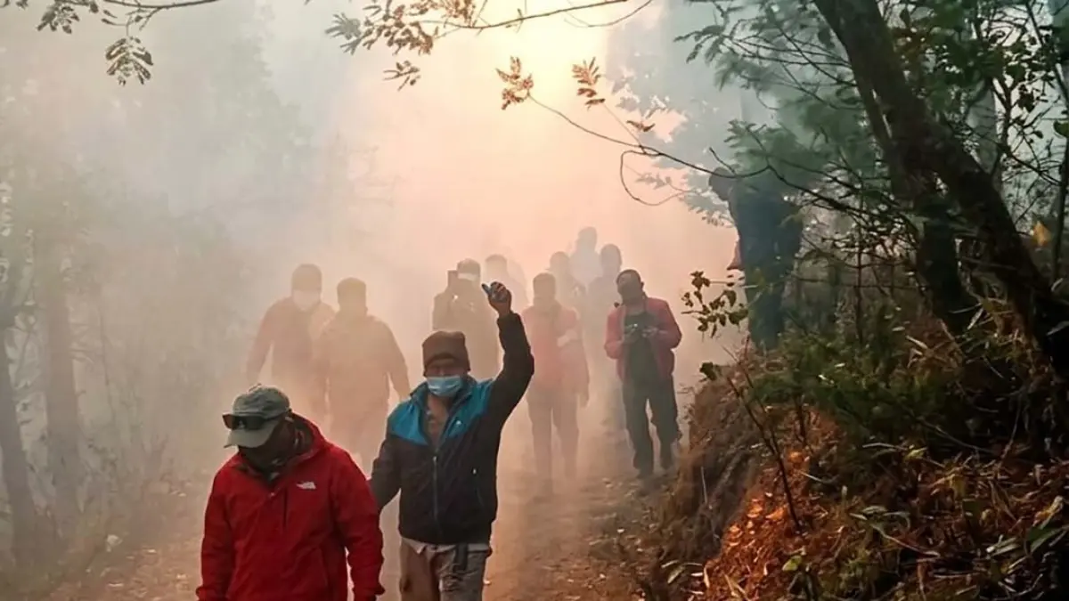 Darurat Karhutla Kawah Ijen, Api Tinggal 20 Meter dari Jalur Pendakian. (TWA Ijen for Radar Banyuwangi)