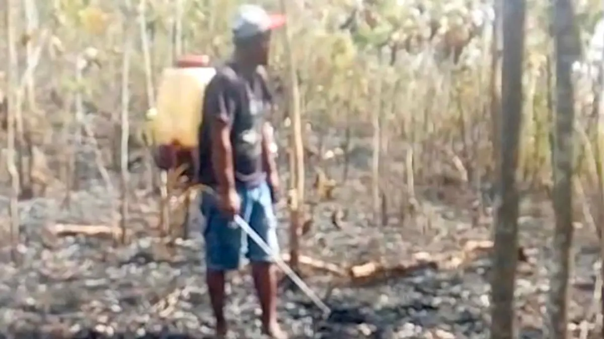 GOSONG: Hutan di Gunung Srawet Desa Kebondalem, Kecamatan Bangorejo, terbakar pada Senin (31/8). (Damkarmat Banyuwangi)