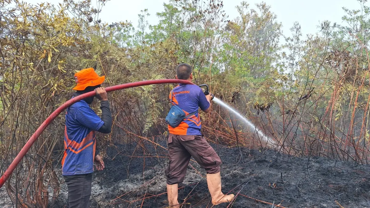Tim BPBD Kabupaten Bulungan berupaya memadamkan api yang membakar lahan di dua kecamatan yang ada di Kabupaten Bulungan, Provinsi Kalimantan Utara, pada Kamis (3/9). (BPBD Kabupaten Bulungan)