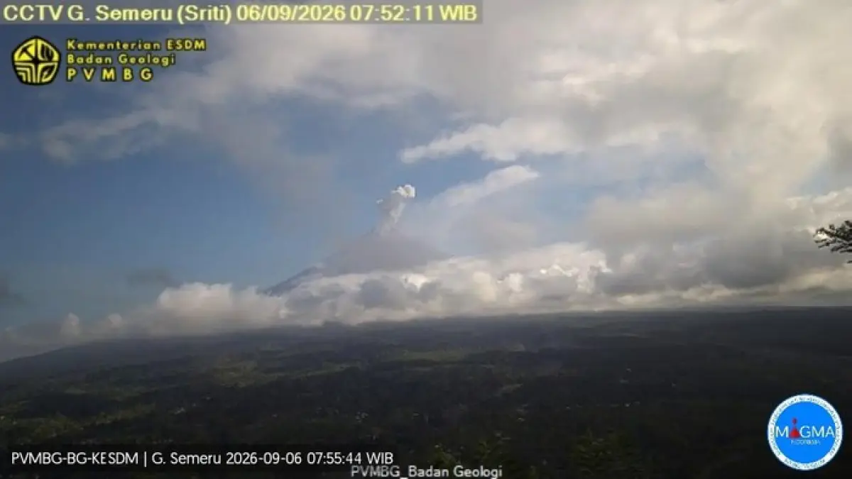 Gunung Semeru erupsi. (Foto: Dokumen PVMBG)