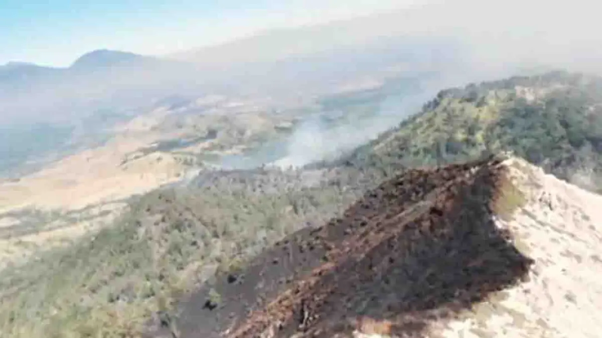 HANGUS: Kobaran api menghanguskan lahan di area TWA Ijen. Saat ini api merembet di sekitar bibir sungai dekat air tenjun Banyupahit.( AYYB for Radar Banyuwangi)