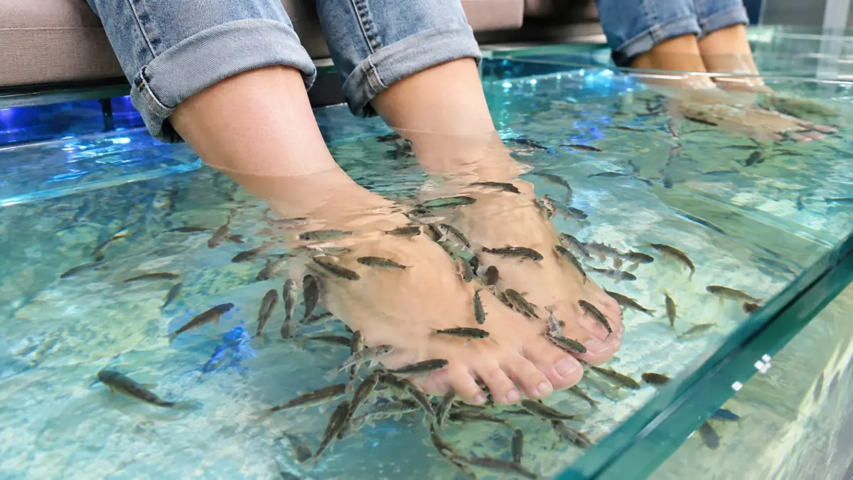 Fish spa menggunakan ikan Garra rufa untuk memberikan sensasi relaksasi pada kaki. Dokter mengingatkan terapi ini perlu dihindari oleh orang dengan kondisi tertentu, terutama jika terdapat luka pada kaki. (ChatGPT)