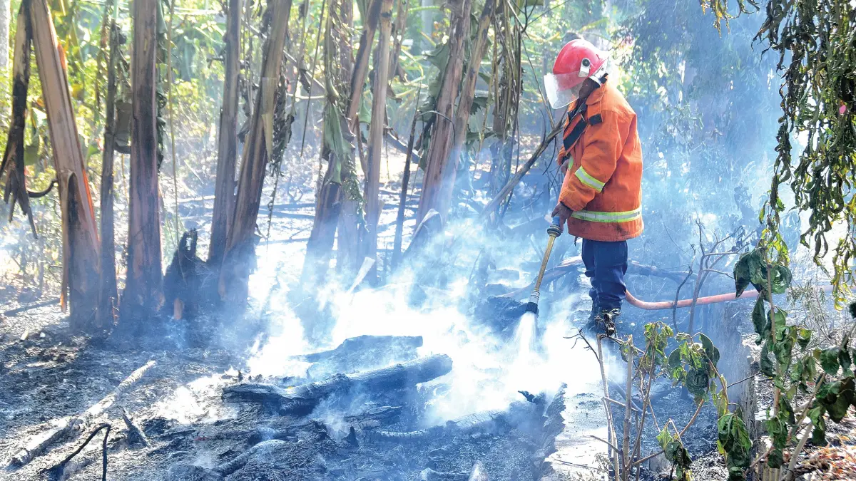 Petugas Damkarmat memadamkan api di Desa Wringinpitu, Kecamatan Tegaldlimo, Jumat (11/9). (Zamrozi Wahyu/Radar Banyuwangi)