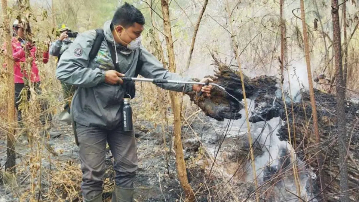 Petugas BKSDA melakukan penyiraman di bekas karhutla yang masih berasap di area TWA Ijen, Sabtu (12/9). (Rusdi for Radar Banyuwangi)
