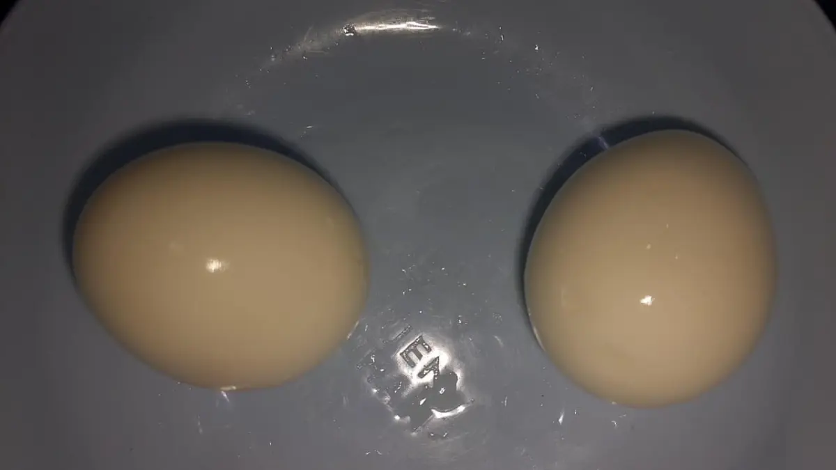 Dua butir telur dapat menjadi sumber protein praktis saat sarapan, tetapi perlu dilengkapi makanan lain agar asupan gizi lebih beragam dan seimbang. (Meivira untuk Radar Banyuwangi)
