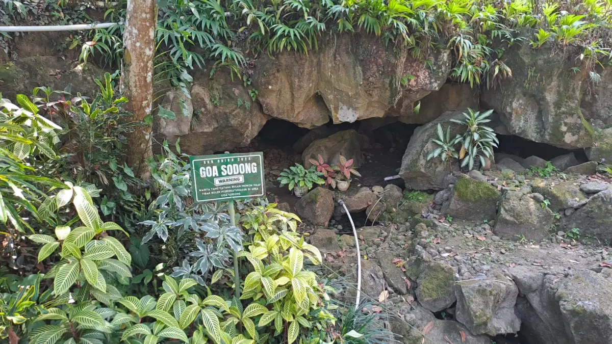 Suasana Goa Sodong di Desa Grogol, Kecamatan Giri, Banyuwangi. Kawasan ini memadukan daya tarik mata air alami dengan cerita tentang Mbah Kecling dan sejarah lokal Blambangan. (Shinta untuk Radar Banyuwangi)