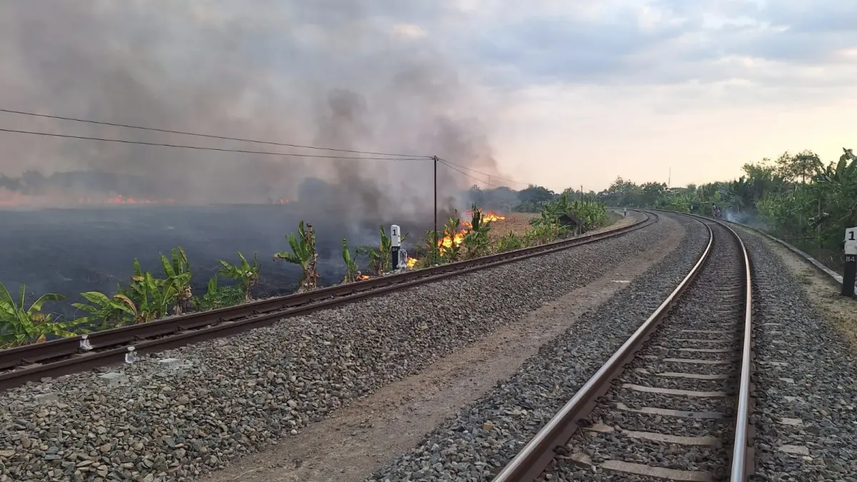 Petugas melakukan penanganan titik api di sekitar jalur kereta api wilayah operasional KAI Daop 4 Semarang. Kebakaran di sekitar jalur perlu segera ditangani karena api dan asap berpotensi mengganggu keselamatan perjalanan kereta. (KAI)
