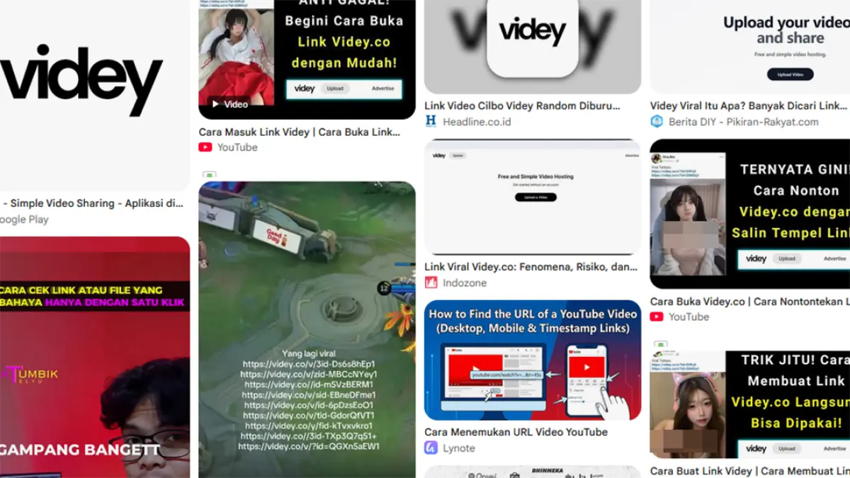 ILUSTRASI: Link Videy.co merupakan layanan berbagi video sederhana tanpa login. Kenali fungsi, cara kerja, dan tips aman saat membuka tautan Videy. (Tangkapan Layar Google Search)