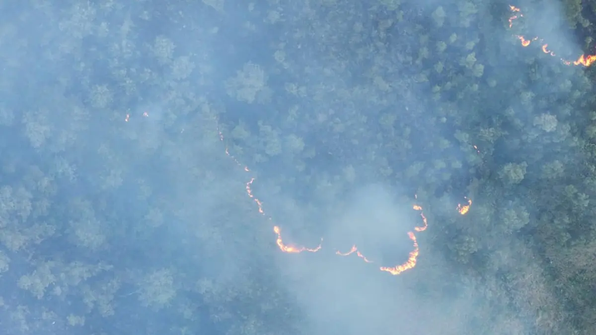 MASIH MENYALA: Titik api baru terpantau di kawasan Cagar Alam Merapi Ungup-Ungup, TWA Kawah Ijen, Jumat (18/9). (BKSDA for Radar Banyuwangi)