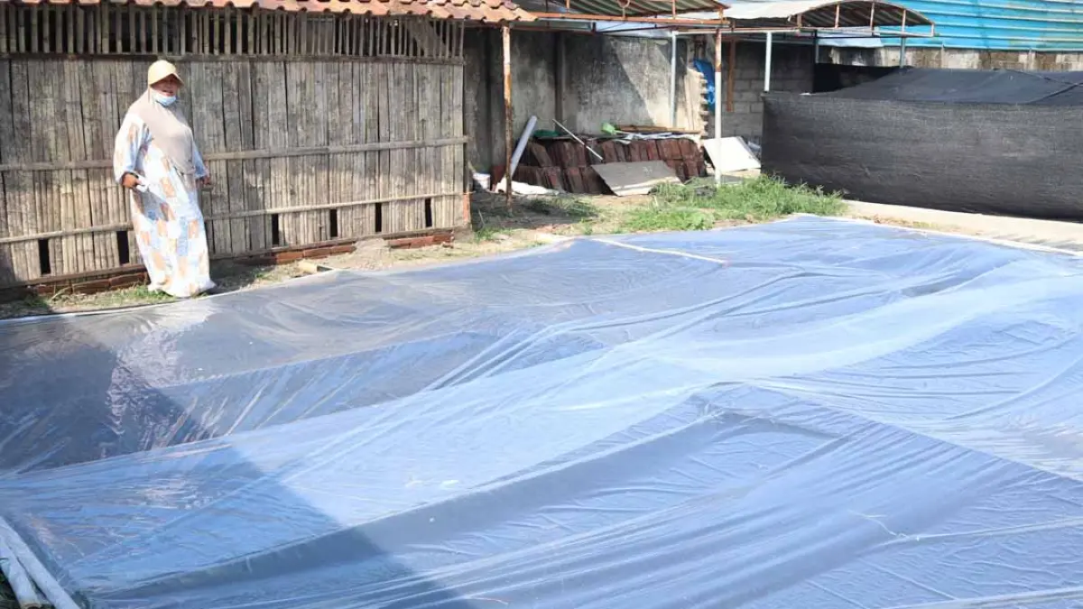 Kolam limbah pabrik tahu di Dusun Tapaklembu, Desa Temuasri, Kecamatan Sempu kini ditutup rapat, Minggu (20/9). (Salis Ali/Radar Banyuwangi)