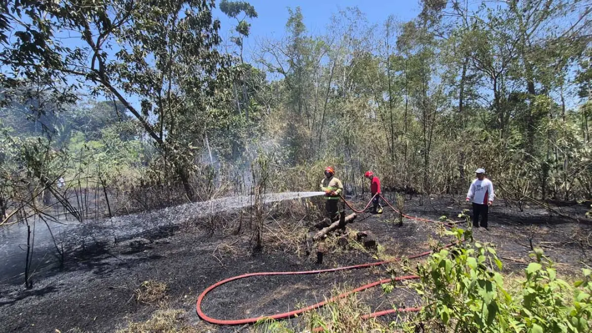 Petugas Pemadam Kebakaran dan Penyelamatan (Damkarmat) Sektor Genteng memadamkan api di lahan kosong Dusun Kopen, Desa Gentengkulon, Kecamatan Genteng,Sabtu (26/9) sore. (Salis Ali/Radar Banyuwangi)