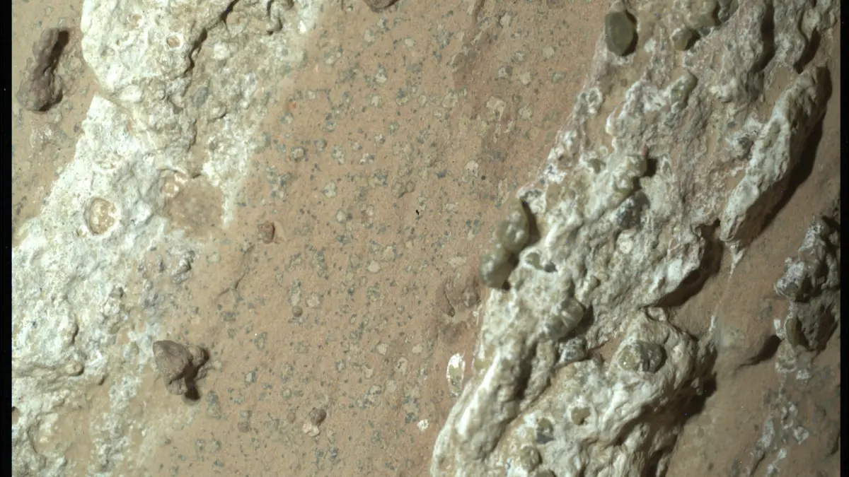 Batuan Cheyava Falls yang diamati wahana Perseverance di Jezero Crater, Mars. Bercak menyerupai tutul macan tutul pada batu tersebut menjadi salah satu petunjuk yang diteliti terkait kemungkinan lingkungan yang pernah mendukung kehidupan mikroba. (NASA/JPL-Caltech/MSSS)