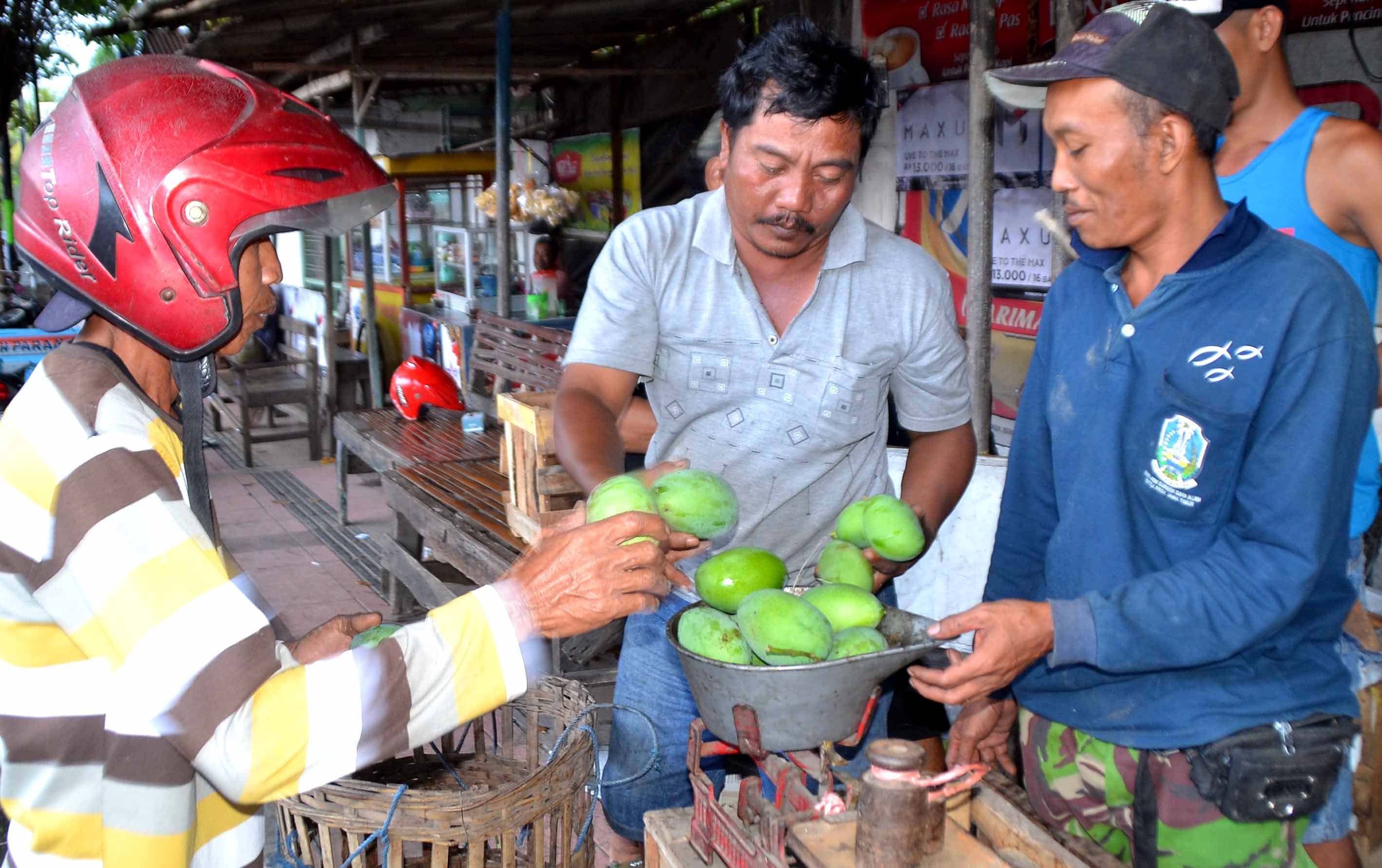 kegigihan-penebas-buah-mangga-keliling-asal-situbondo
