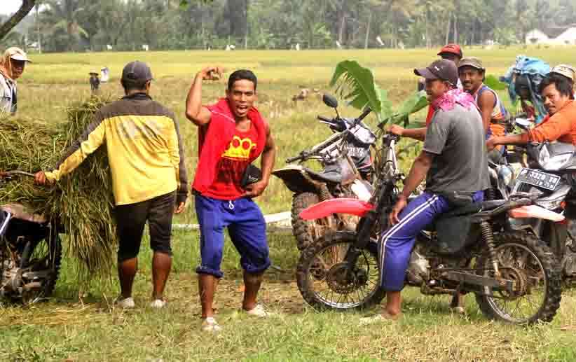 tolak-minuman-suplemen-pilih-jamu-tradisional