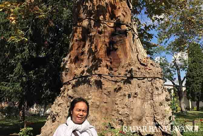 melihat-pedang-rasulullah-di-istana-topkapi