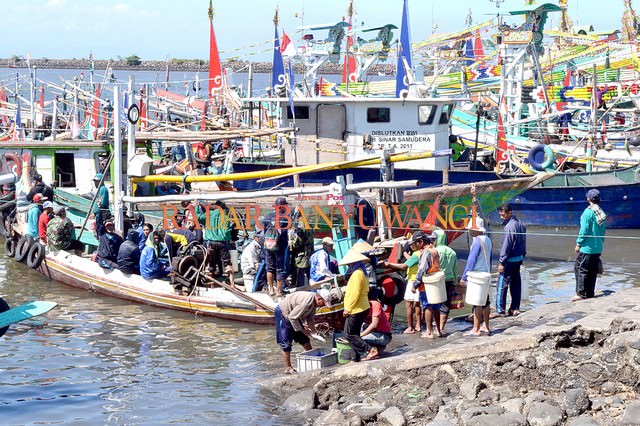 tangkapan-ikan-sepi-nelayan-grajagan-hijrah-ke-muncar
