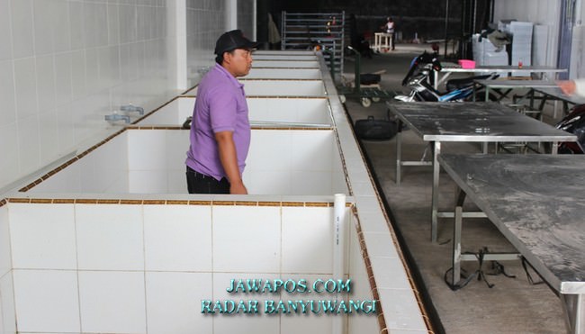sebulan-pabrik-ikan-tidak-produksi