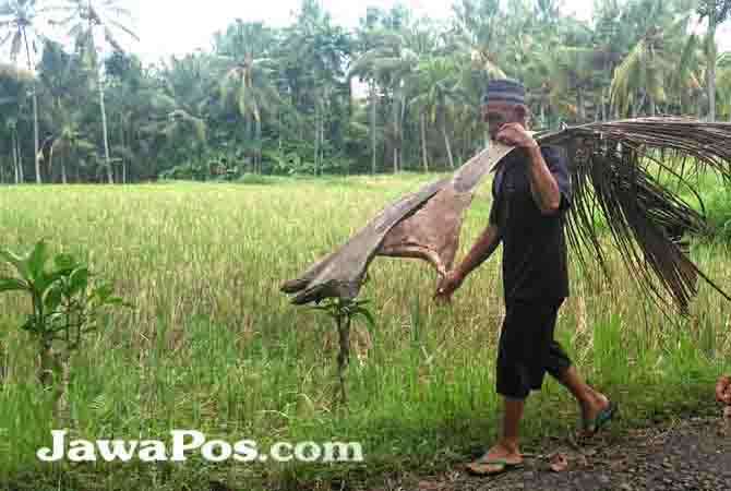 banyak-warga-desa-pilih-tetap-memasak-pakai-kayu-bakar