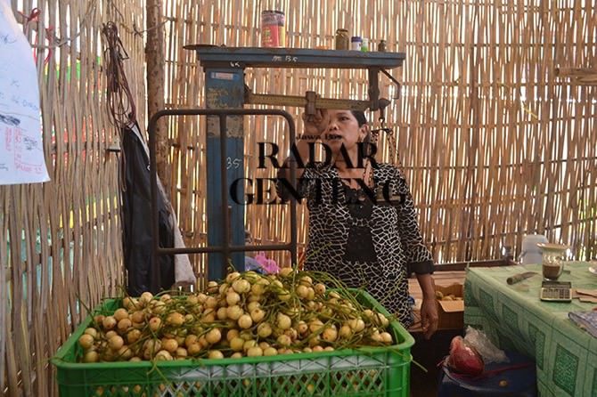 kepundung-dan-langsat-melimpah