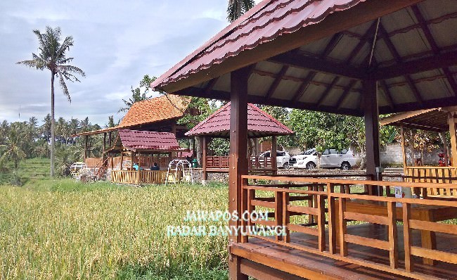 tempat-favorit-makan-di-pinggir-sawah