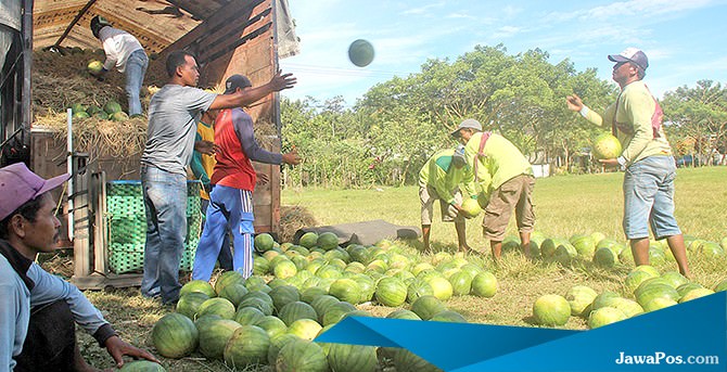 harga-semangka-masih-mahal