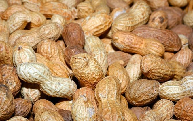 mengkonsumsi-kacang-kacangan-sangat-bagus-bagi-ibu-menyusui