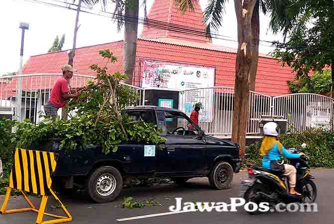 panjat-pohon-tinggi-tangan-kiri-pegang-gergaji-mesin