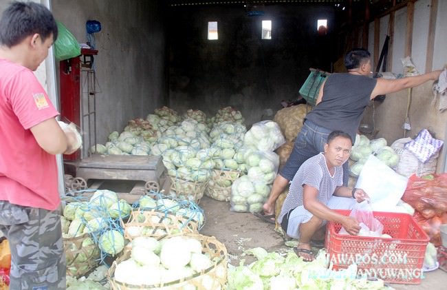 pedagang-terkendala-pengiriman-barang