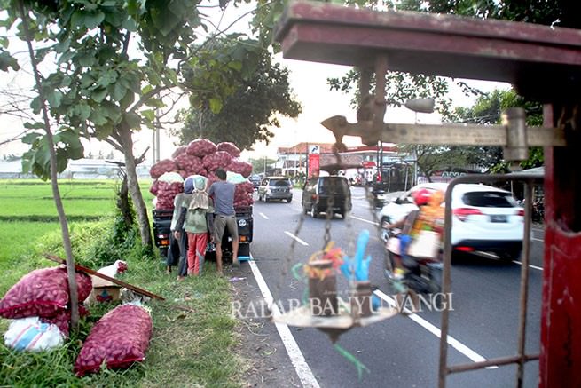 ketala-berapa-pun-bisa-ditampung-pasar-bali
