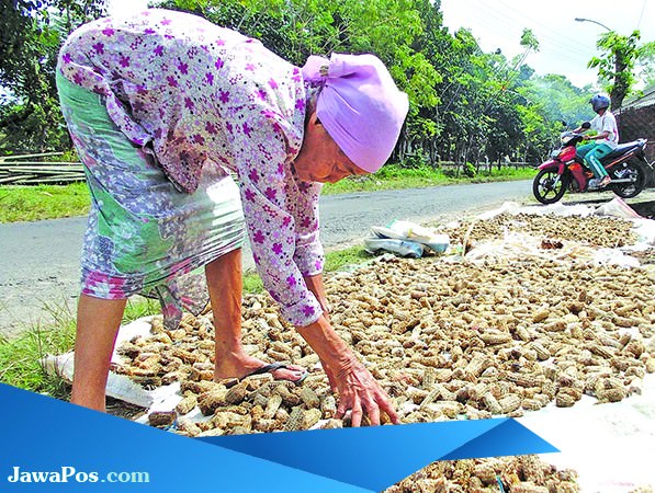 nenek-bertahan-hidup-dengan-arang-jagung