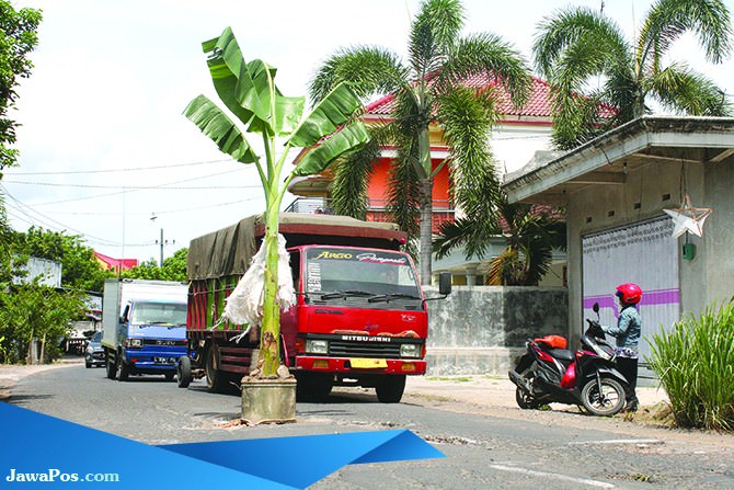 jalan-rusak-ditanami-pohon-pisang