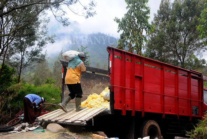 penambang-belerang-abaikan-gas-beracun