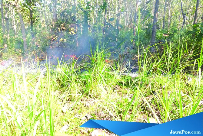 hutan-purwoharjo-terbakar