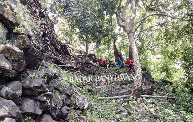 berbentuk-seperti-balok-kayu-karena-proses-alam