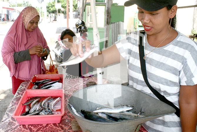 harga-ikan-murah