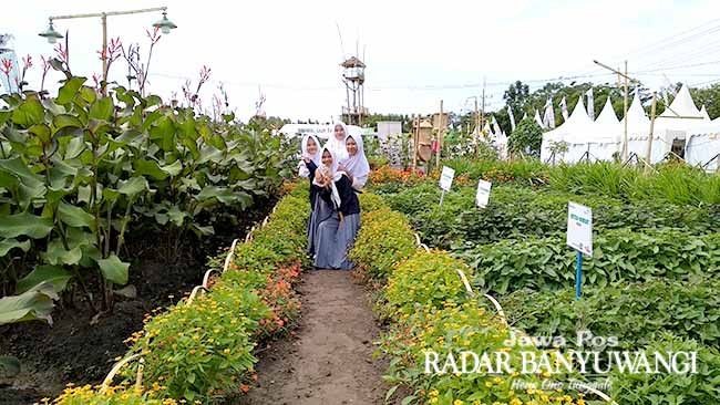 kreativitas-tim-agro-expo-sulap-area-pertanian-jadi-destinasi-wisata