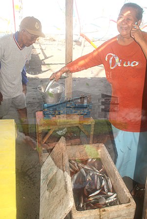 musim-ikan-layang-di-tengah-cuaca-labil
