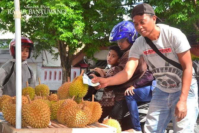 untung-jutaan-begini-suka-duka-pedagang-durian-musiman