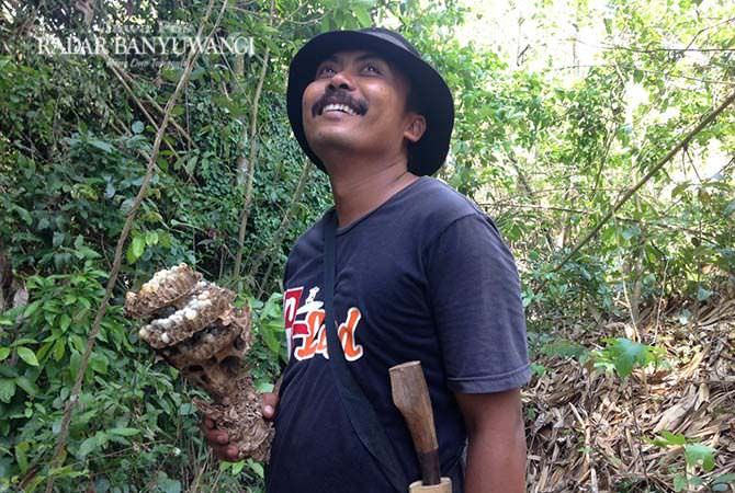 hanya-berbekal-golok-dan-korek-herman-berburu-tawon-endas