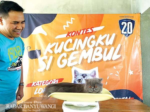 kontes-si-gembul-kucingku-bersifat-fun-and-photogenic
