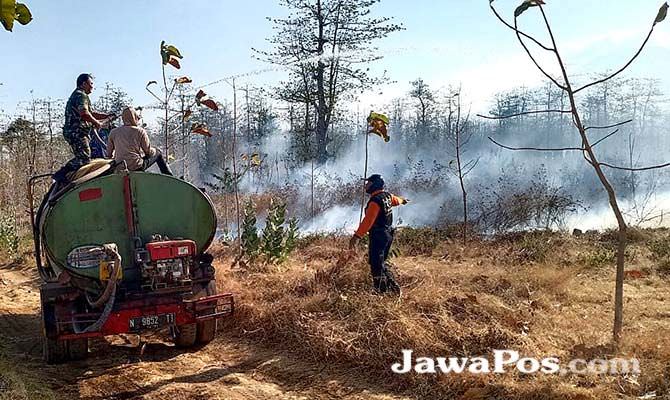 polisi-selidiki-pembakar-hutan-kapas-wongsorejo