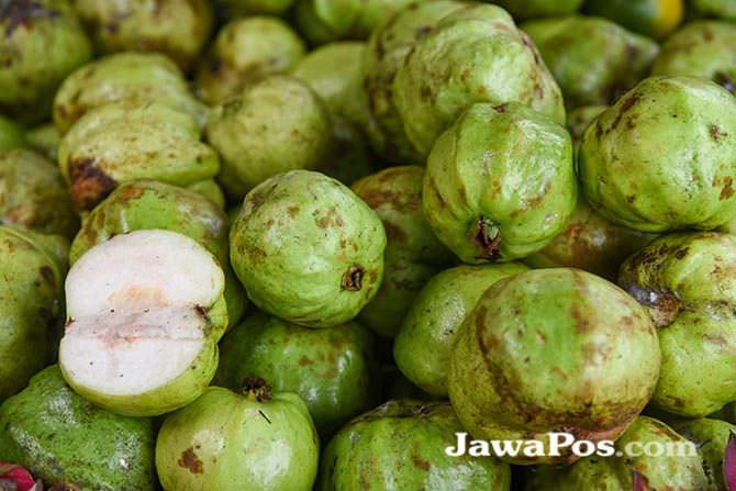keuntungan-jambu-kristal-semanis-rasanya